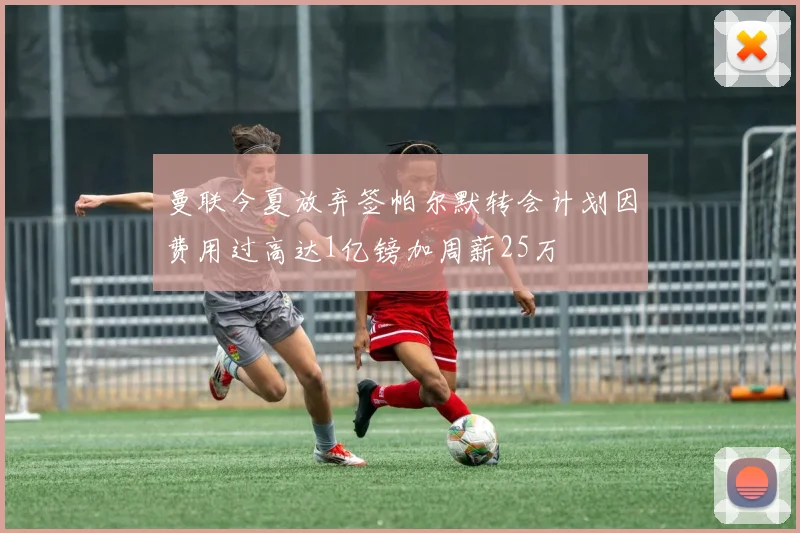 曼联今夏放弃签帕尔默转会计划因费用过高达1亿镑加周薪25万